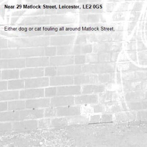 Either dog or cat fouling all around Matlock Street, -29 Matlock Street, Leicester, LE2 0GS