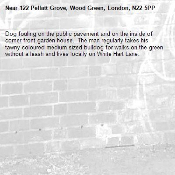 Dog fouling on the public pavement and on the inside of corner front garden house.  The man regularly takes his tawny coloured medium sized bulldog for walks on the green without a leash and lives locally on White Hart Lane.  -122 Pellatt Grove, Wood Green, London, N22 5PP