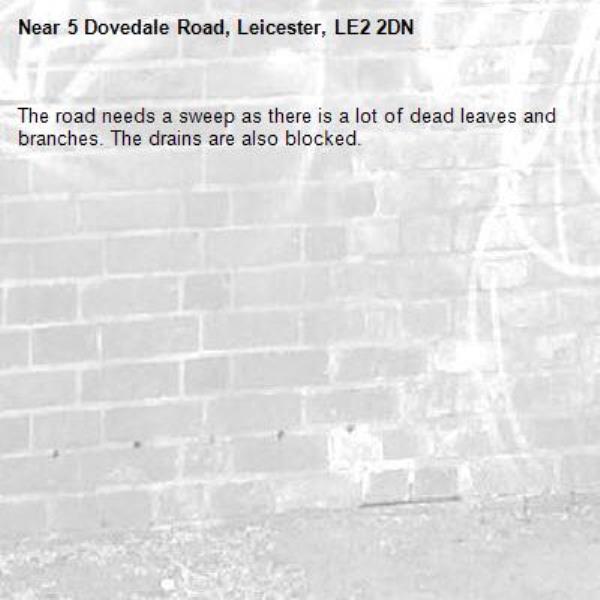 The road needs a sweep as there is a lot of dead leaves and branches. The drains are also blocked. -5 Dovedale Road, Leicester, LE2 2DN