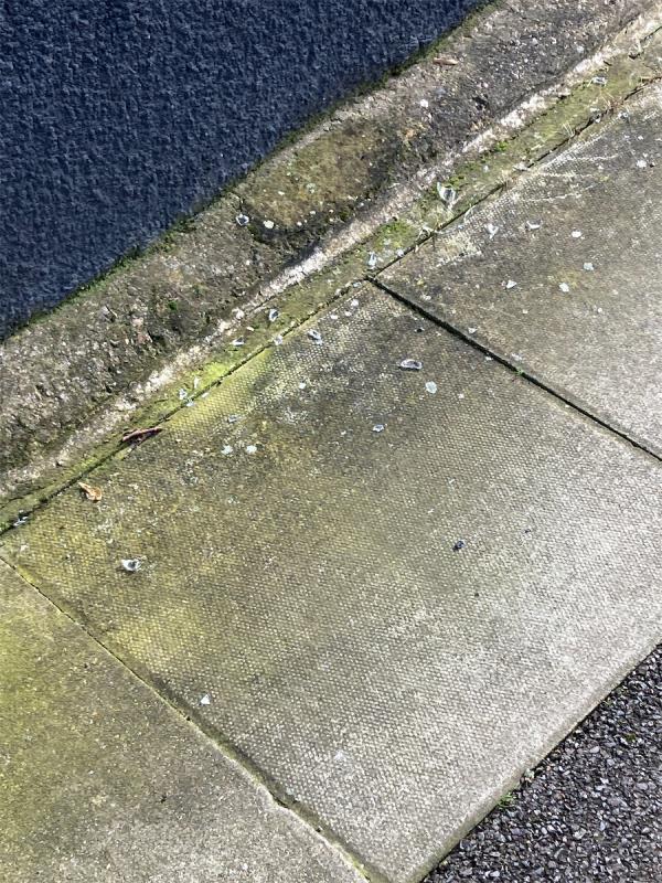 Broken glass shards-28 Buckthorne Road, Crofton Park, London, SE4 2DB