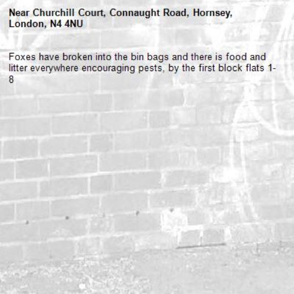 Foxes have broken into the bin bags and there is food and litter everywhere encouraging pests, by the first block flats 1-8-Churchill Court, Connaught Road, Hornsey, London, N4 4NU