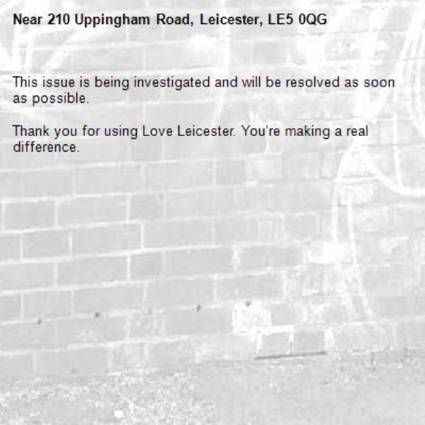 Love Leicester Find reports