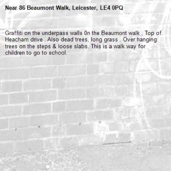 Graffiti on the underpass walls 0n the Beaumont walk . Top of Heacham drive . Also dead trees, long grass . Over hanging trees on the steps &amp; loose slabs. This is a walk way for children to go to school.-86 Beaumont Walk, Leicester, LE4 0PQ