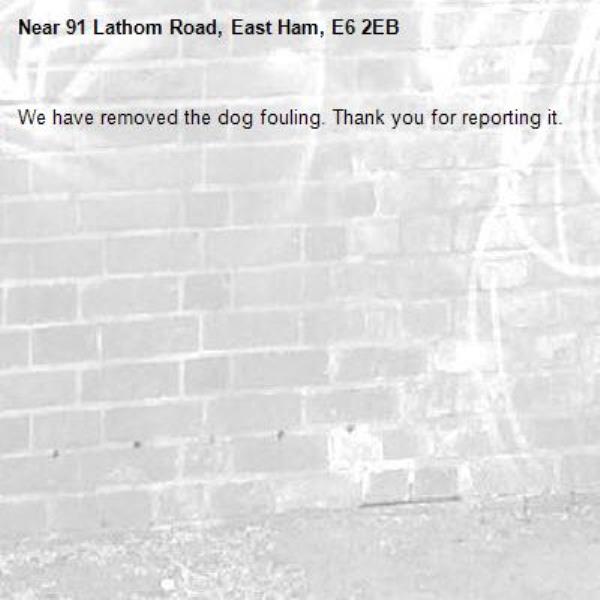 We have removed the dog fouling. Thank you for reporting it.-91 Lathom Road, East Ham, E6 2EB