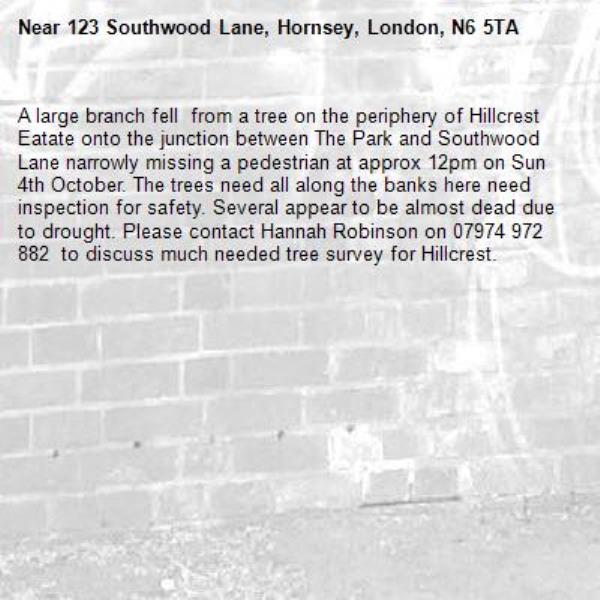 A large branch fell  from a tree on the periphery of Hillcrest Eatate onto the junction between The Park and Southwood Lane narrowly missing a pedestrian at approx 12pm on Sun 4th October. The trees need all along the banks here need inspection for safety. Several appear to be almost dead due to drought. Please contact Hannah Robinson on 07974 972 882  to discuss much needed tree survey for Hillcrest.-123 Southwood Lane, Hornsey, London, N6 5TA