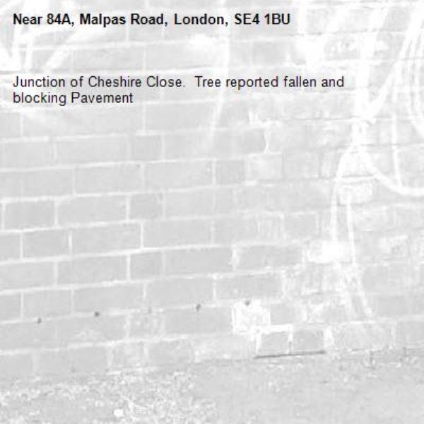 Junction of Cheshire Close.  Tree reported fallen and blocking Pavement-84A, Malpas Road, London, SE4 1BU