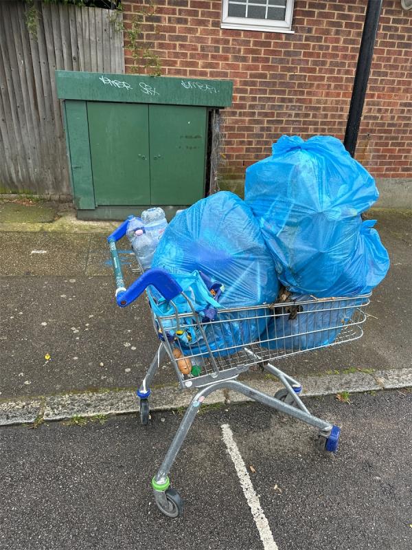 Dumped rubbish inc Lewisham bags-98 Callander Road, Catford, London, SE6 2QE