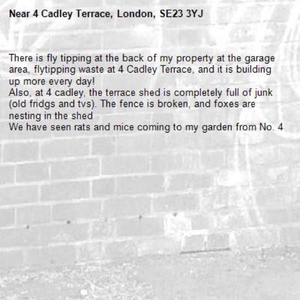 There is fly tipping at the back of my property at the garage area, flytipping waste at 4 Cadley Terrace, and it is building up more every day!
Also, at 4 cadley, the terrace shed is completely full of junk (old fridgs and tvs). The fence is broken, and foxes are nesting in the shed 
We have seen rats and mice coming to my garden from No. 4-4 Cadley Terrace, London, SE23 3YJ