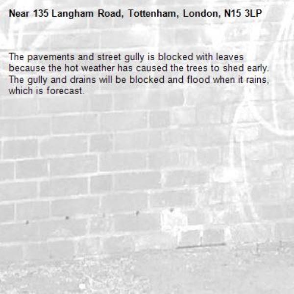 The pavements and street gully is blocked with leaves because the hot weather has caused the trees to shed early. The gully and drains will be blocked and flood when it rains, which is forecast. -135 Langham Road, Tottenham, London, N15 3LP