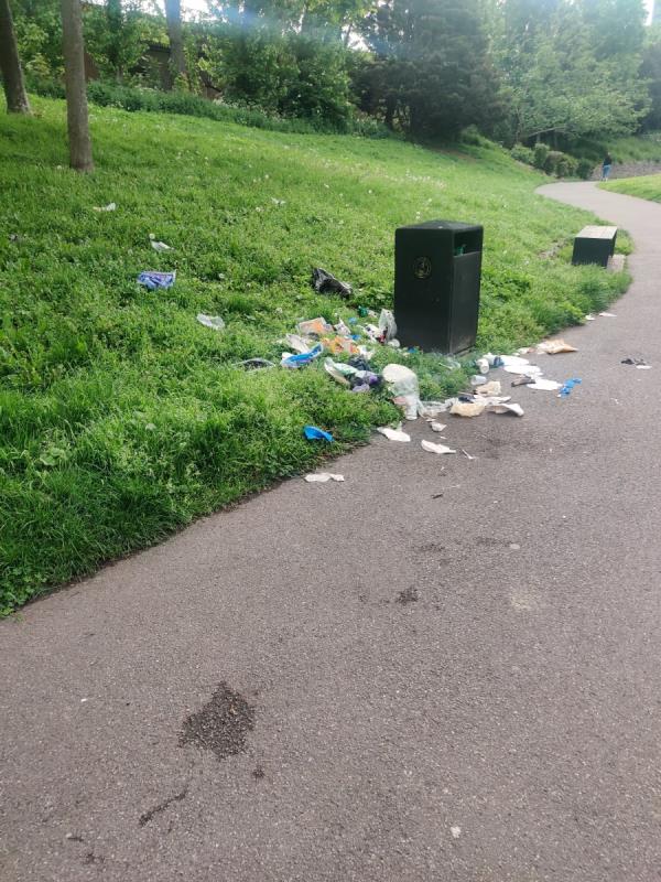 Rubbish and BBQ debris left by selfish park users at the weekend. -64 Parkside Business Estate, Blackhorse Road, London, SE8 5JA