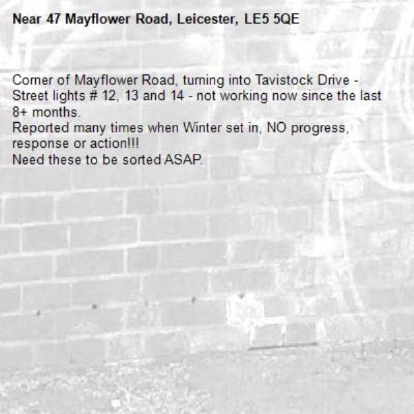 Corner of Mayflower Road, turning into Tavistock Drive - Street lights # 12, 13 and 14 - not working now since the last 8+ months.
Reported many times when Winter set in, NO progress, response or action!!!
Need these to be sorted ASAP.-47 Mayflower Road, Leicester, LE5 5QE