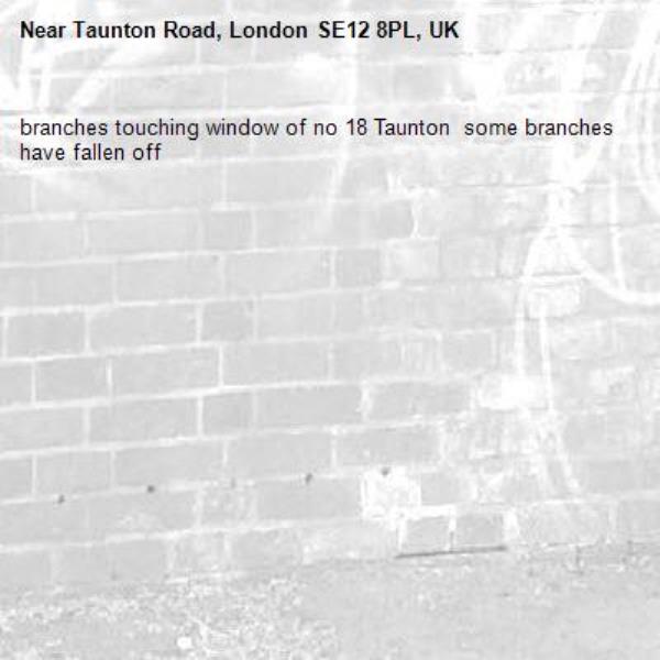 branches touching window of no 18 Taunton  some branches have fallen off-Taunton Road, London SE12 8PL, UK