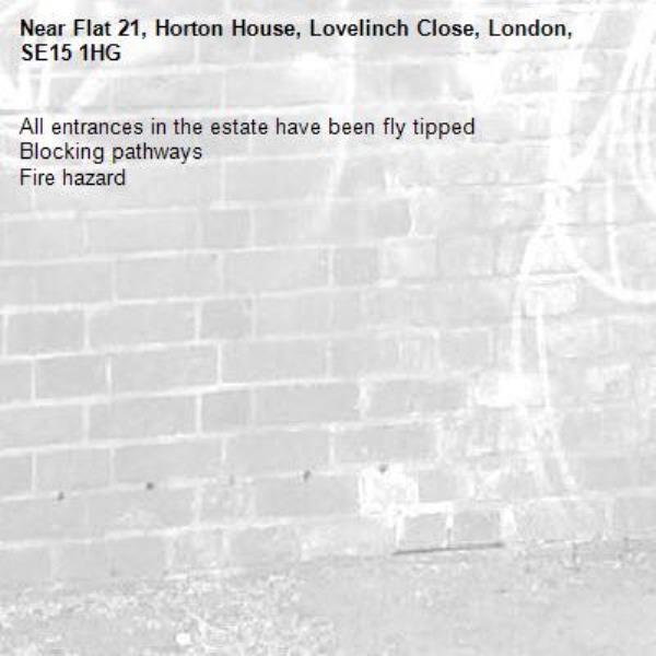 All entrances in the estate have been fly tipped
Blocking pathways
Fire hazard-Flat 21, Horton House, Lovelinch Close, London, SE15 1HG