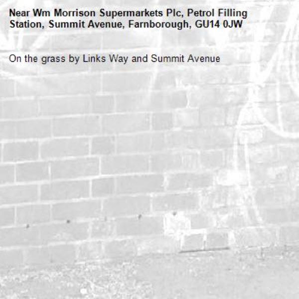 On the grass by Links Way and Summit Avenue-Wm Morrison Supermarkets Plc, Petrol Filling Station, Summit Avenue, Farnborough, GU14 0JW