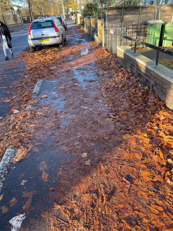 Super slippery with the wet leaves, please clean as someone will get hurt -68A, Ham Park Road, Forest Gate, London, E7 9LQ
