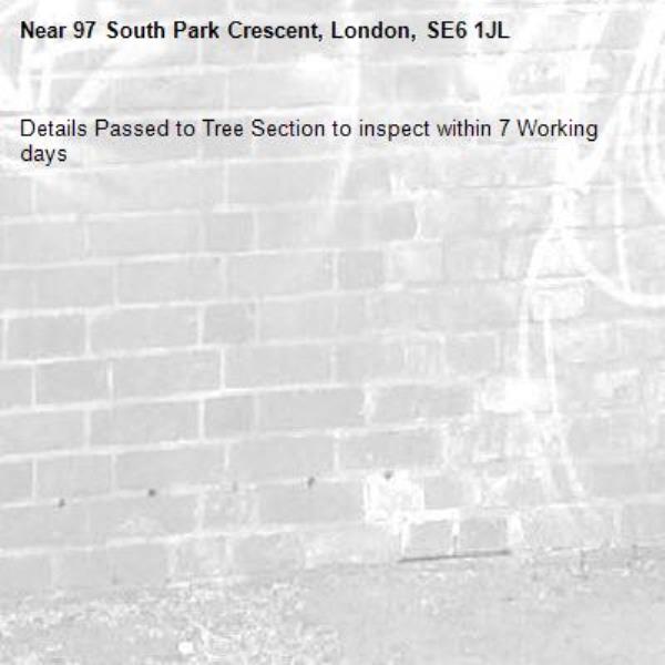 Details Passed to Tree Section to inspect within 7 Working days-97 South Park Crescent, London, SE6 1JL