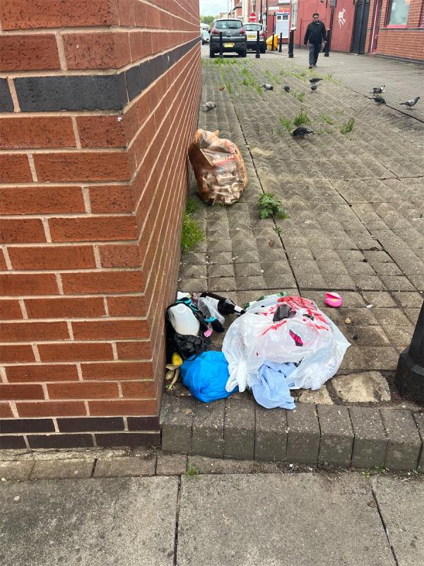 More shit left in the street!!! -81 Kensington Street, Leicester, LE4 5GP
