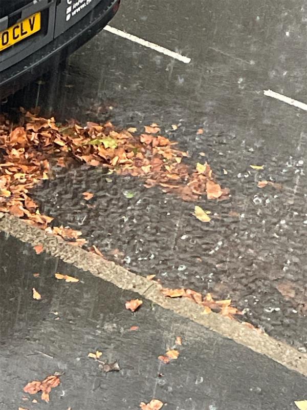 The whole road is flooded and water can’t not go though the drain. 

All leafs are all over the road. 

The road as not be swept up. 

Causing loads of issues on the road. 

Water everywhere cars, people front doors. 

NEEDS URGENT -42 Frinton Road, East Ham, London, E6 3HA