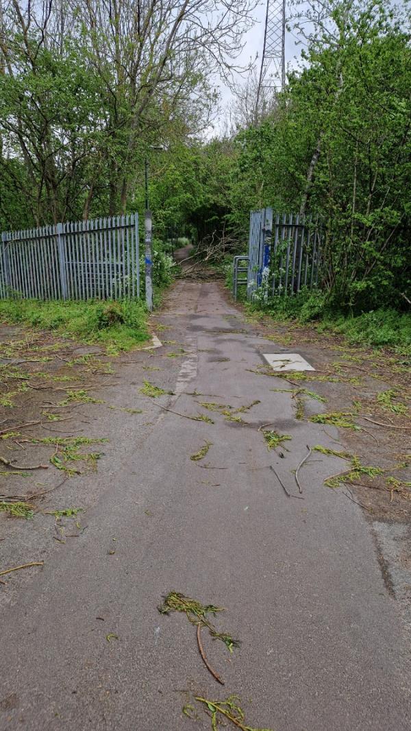 There is a tree that has blown down that is blocking the route on the walkway-Royal Docks Road, Beckton, London