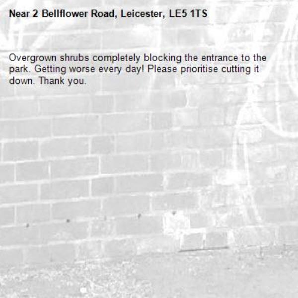 Overgrown shrubs completely blocking the entrance to the park. Getting worse every day! Please prioritise cutting it down. Thank you. -2 Bellflower Road, Leicester, LE5 1TS