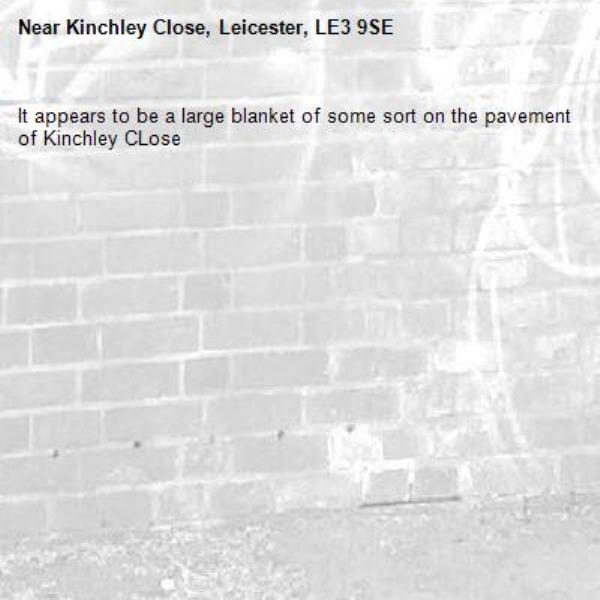 It appears to be a large blanket of some sort on the pavement of Kinchley CLose-Kinchley Close, Leicester, LE3 9SE