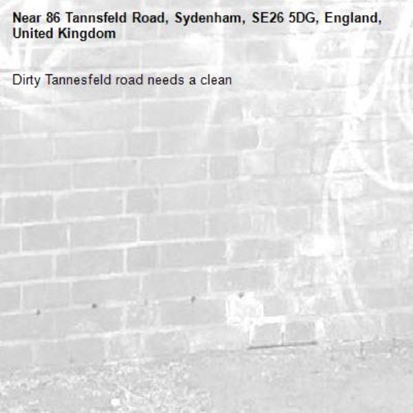Dirty Tannesfeld road needs a clean
-86 Tannsfeld Road, Sydenham, SE26 5DG, England, United Kingdom