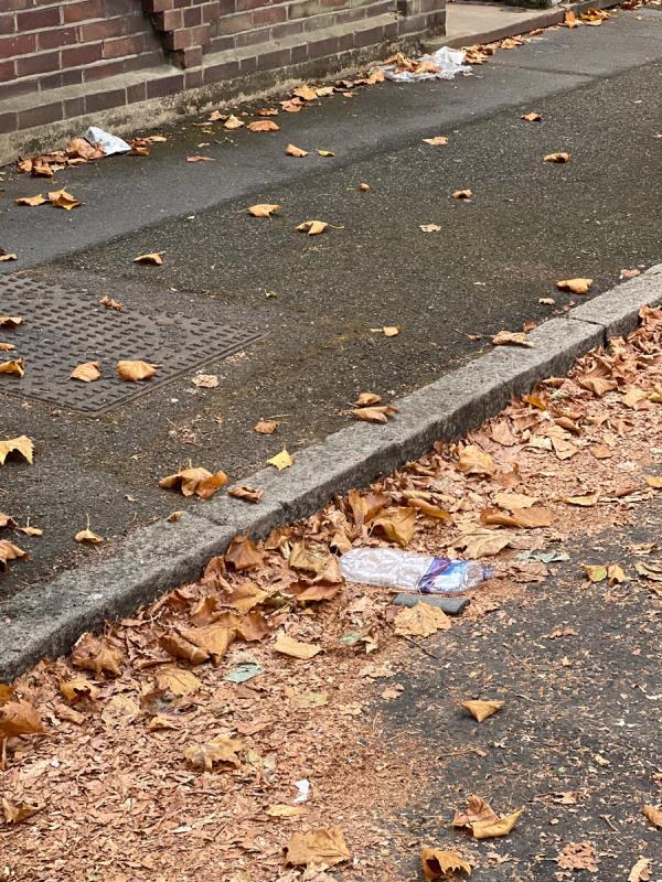 Street needs to be swept from litter-28 Denbigh Road, East Ham, E6 3LD