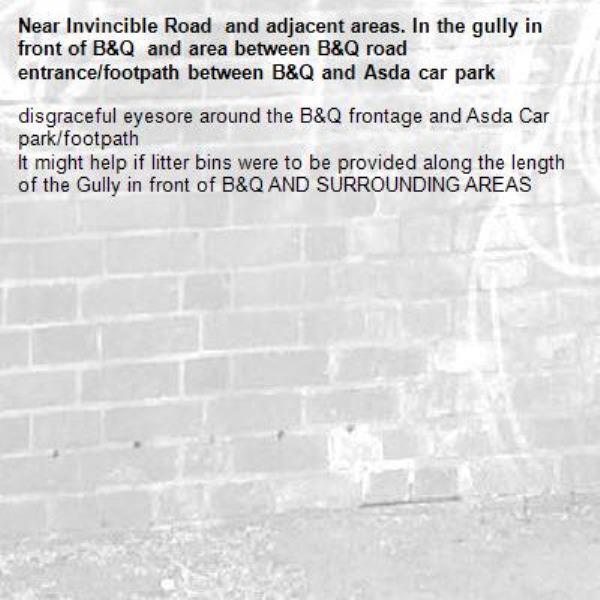 disgraceful eyesore around the B&Q frontage and Asda Car park/footpath
It might help if litter bins were to be provided along the length of the Gully in front of B&Q AND SURROUNDING AREAS-Invincible Road  and adjacent areas. In the gully in front of B&Q  and area between B&Q road entrance/footpath between B&Q and Asda car park