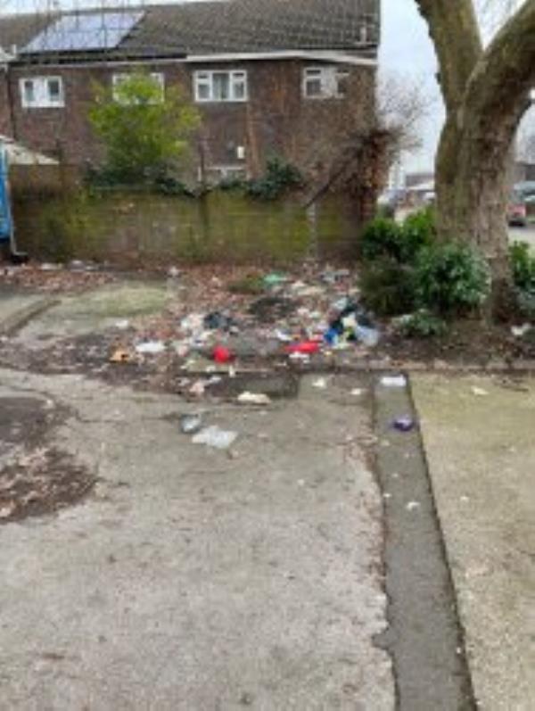 Junction of Holmshaw Close.  Car park to Champion Hall. Please clear flytip of bags.
-20 Champion Road, Sydenham, SE26 4HR, England, United Kingdom