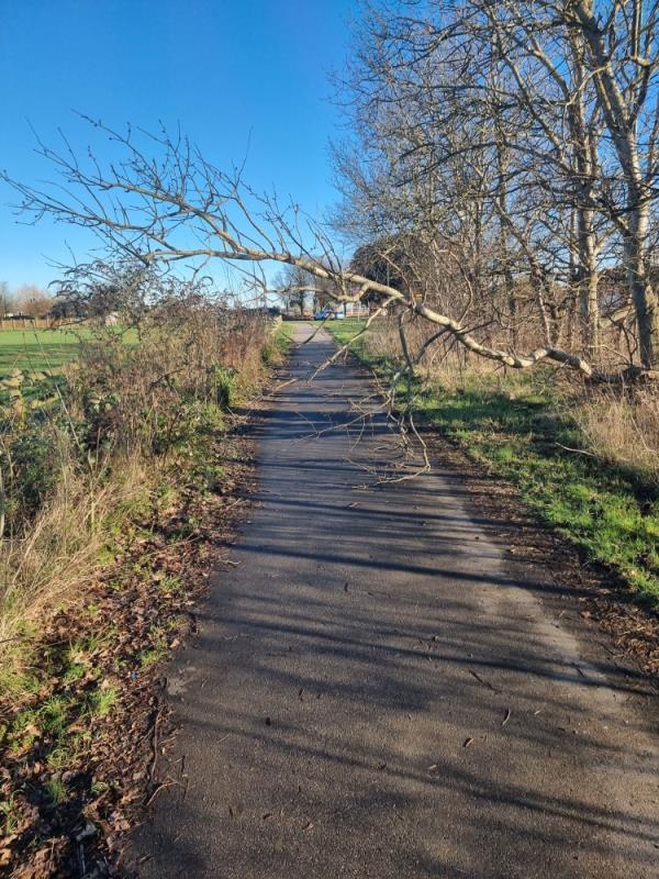 Fallen branch on the cycle path north of New Road (A259)-61 The Leas, Rustington, BN16 4JH
