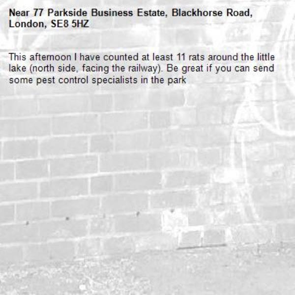 This afternoon I have counted at least 11 rats around the little lake (north side, facing the railway). Be great if you can send some pest control specialists in the park-77 Parkside Business Estate, Blackhorse Road, London, SE8 5HZ