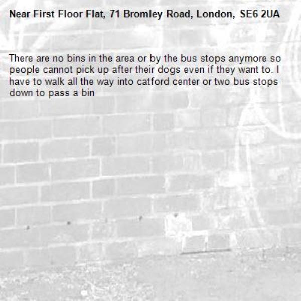 There are no bins in the area or by the bus stops anymore so people cannot pick up after their dogs even if they want to. I have to walk all the way into catford center or two bus stops down to pass a bin-First Floor Flat, 71 Bromley Road, London, SE6 2UA