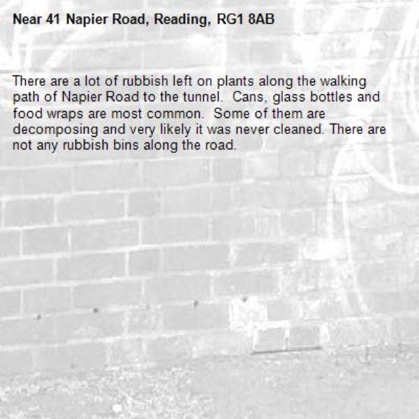 There are a lot of rubbish left on plants along the walking path of Napier Road to the tunnel.  Cans, glass bottles and food wraps are most common.  Some of them are decomposing and very likely it was never cleaned. There are not any rubbish bins along the road.-41 Napier Road, Reading, RG1 8AB