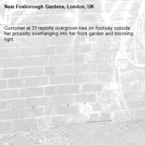 Customer at 31 reports overgrown tree on footway outside her property overhanging into her front garden and blocking light.-Foxborough Gardens, London, UK