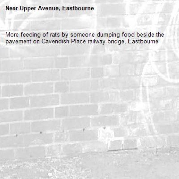 More feeding of rats by someone dumping food beside the pavement on Cavendish Place railway bridge, Eastbourne -Upper Avenue, Eastbourne