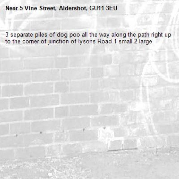 3 separate piles of dog poo all the way along the path right up to the corner of junction of lysons Road 1 small 2 large -5 Vine Street, Aldershot, GU11 3EU