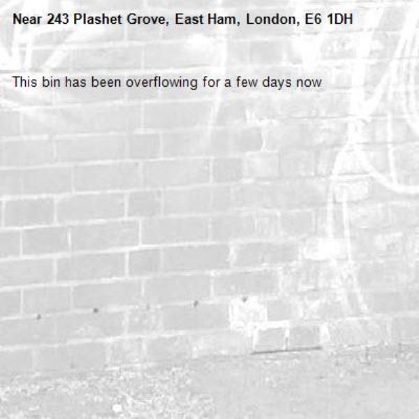 This bin has been overflowing for a few days now-243 Plashet Grove, East Ham, London, E6 1DH