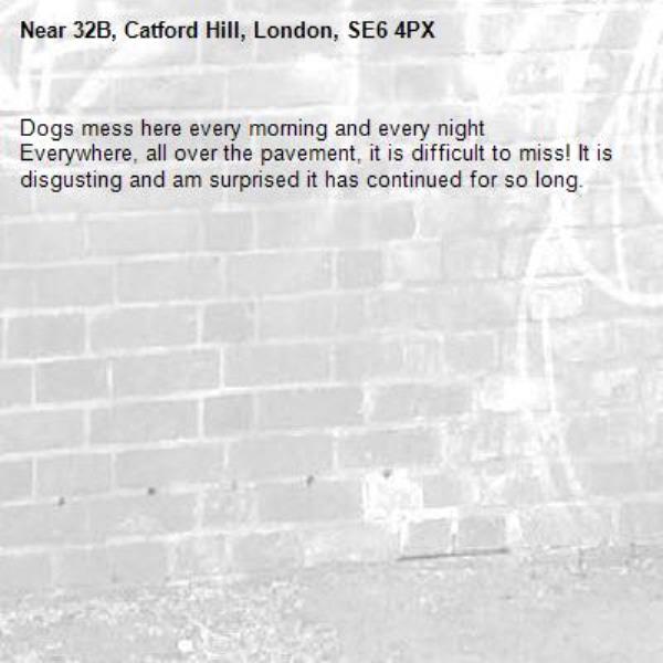 Dogs mess here every morning and every night 
Everywhere, all over the pavement, it is difficult to miss! It is disgusting and am surprised it has continued for so long. -32B, Catford Hill, London, SE6 4PX