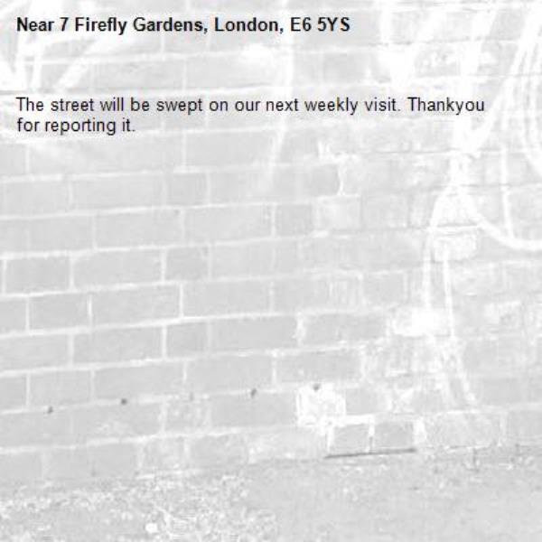 The street will be swept on our next weekly visit. Thankyou for reporting it.-7 Firefly Gardens, London, E6 5YS