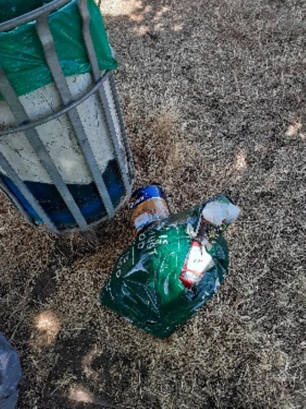 bag of domestic waste and a tin of paint left by park bin-8 Thornton Rd, Reading RG30 1JY, UK