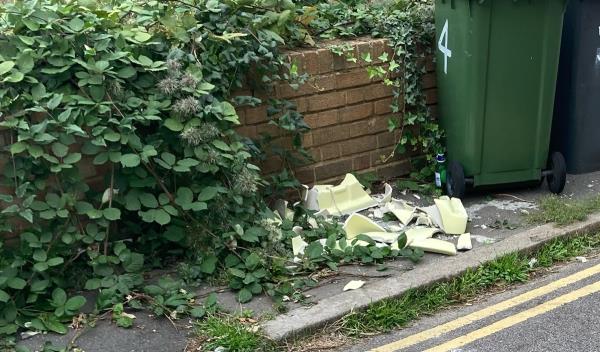 Flytip smashed ceramic toilet  corner hathway street and upper gibbon road-5 Hathway Street, Telegraph Hill, SE14 5TS, England, United Kingdom