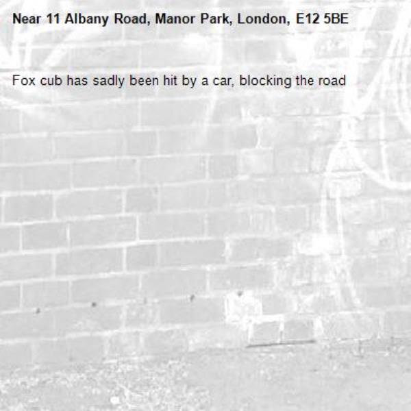 Fox cub has sadly been hit by a car, blocking the road -11 Albany Road, Manor Park, London, E12 5BE
