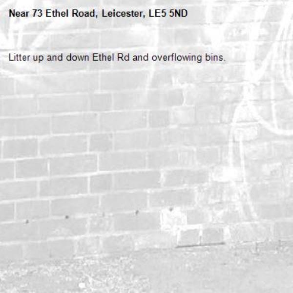 Litter up and down Ethel Rd and overflowing bins.-73 Ethel Road, Leicester, LE5 5ND