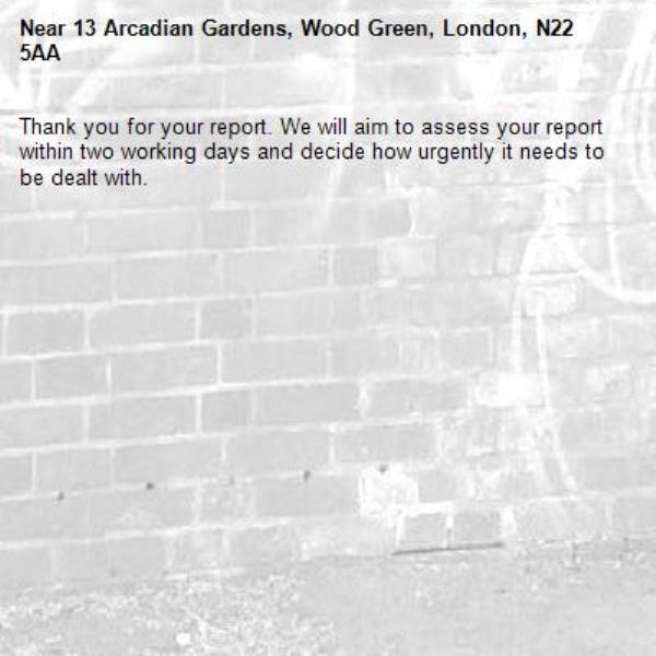Thank you for your report. We will aim to assess your report within two working days and decide how urgently it needs to be dealt with.-13 Arcadian Gardens, Wood Green, London, N22 5AA