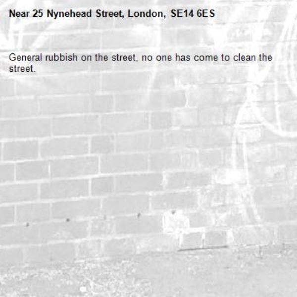 General rubbish on the street, no one has come to clean the street. -25 Nynehead Street, London, SE14 6ES
