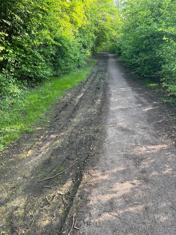 Foot path has been covered with build up of soil and and and debris very slippy because of the rain we’ve had, needs to be cleared up -Hamilton Park