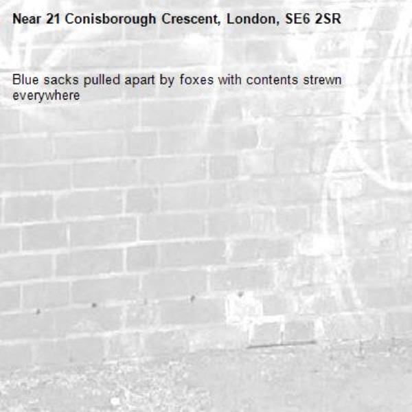 Blue sacks pulled apart by foxes with contents strewn everywhere-21 Conisborough Crescent, London, SE6 2SR