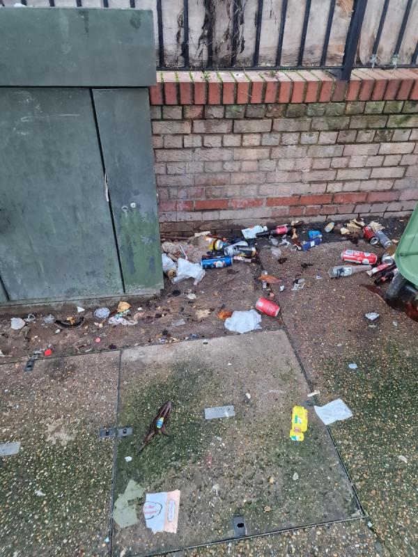 This has become the new hangout for street drinkers. Broken bottles and debris around -11 Francis Street, Stratford, London, E15 1JG