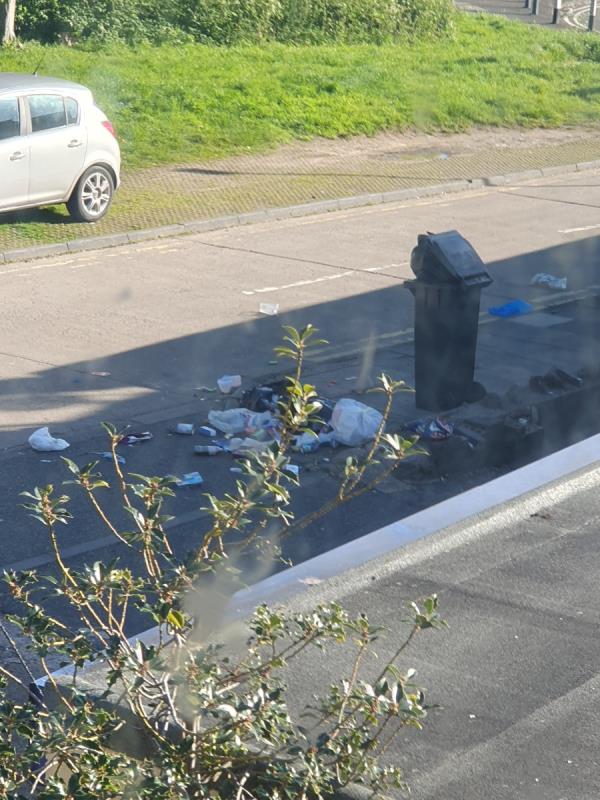 Dear sir you can see from the photo rubbish everywhere urgent action should  be taken Thank you -236 Asquith Boulevard, Leicester, LE2 6FB