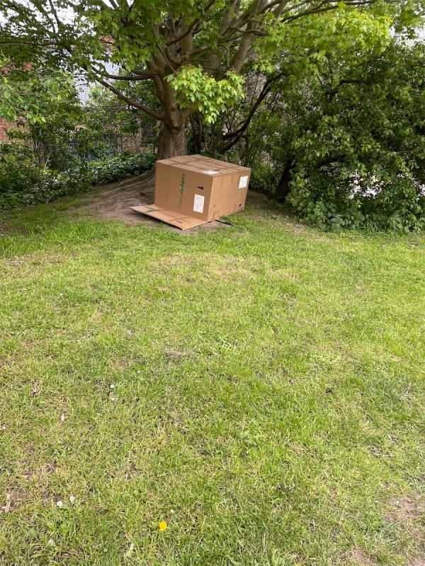 Big carton box in the park area
-81 Glenville Grove, London, SE8 4BJ